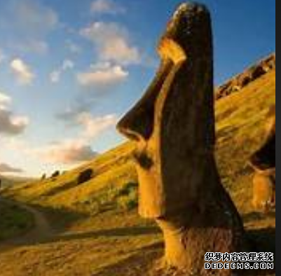 杏耀平臺(tái)用戶,杏耀在線注冊(cè)