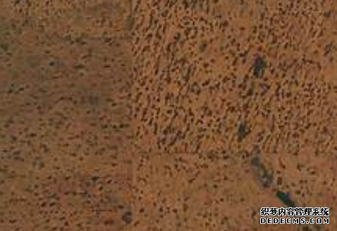 杏耀平臺用戶,杏耀在線注冊