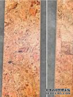 杏耀平臺用戶,杏耀在線注冊