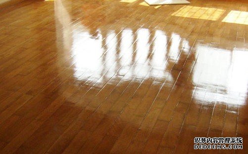 杏耀主管經營理念,杏耀招商月回饋