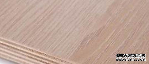 杏耀主管經營理念,杏耀招商月回饋