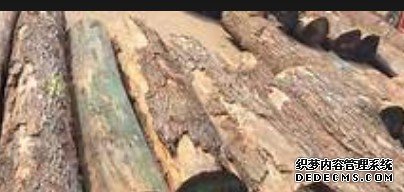 杏耀登錄地址,杏耀平臺登錄