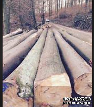 杏耀登錄地址,杏耀平臺(tái)登錄