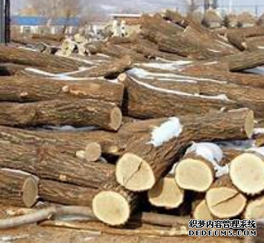 杏耀內(nèi)部主管聯(lián)系方式？,杏耀娛樂(lè)登陸